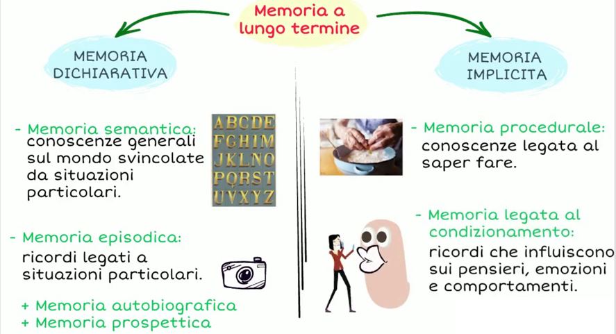 Schema su tipo di informazioni contenuti nella memoria a lungo termine